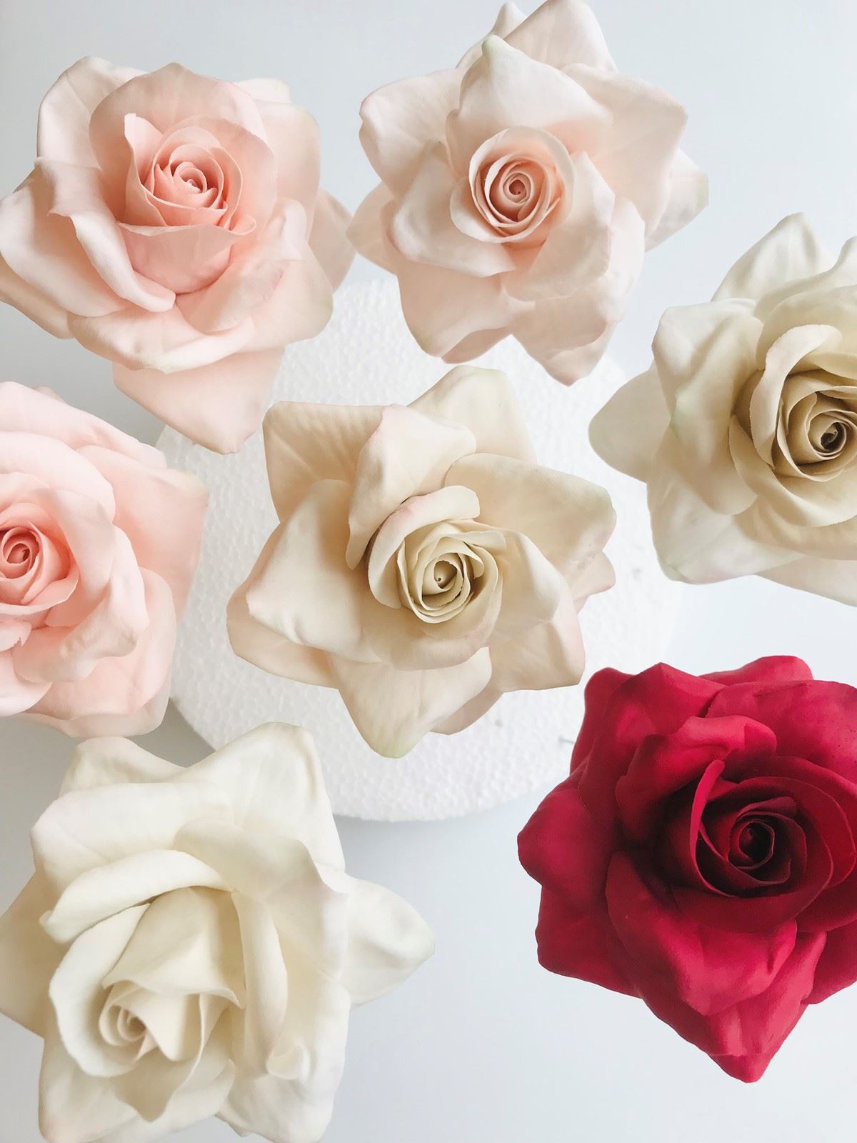 LouiseScofield - Creating Flamboyant Reflex Rose